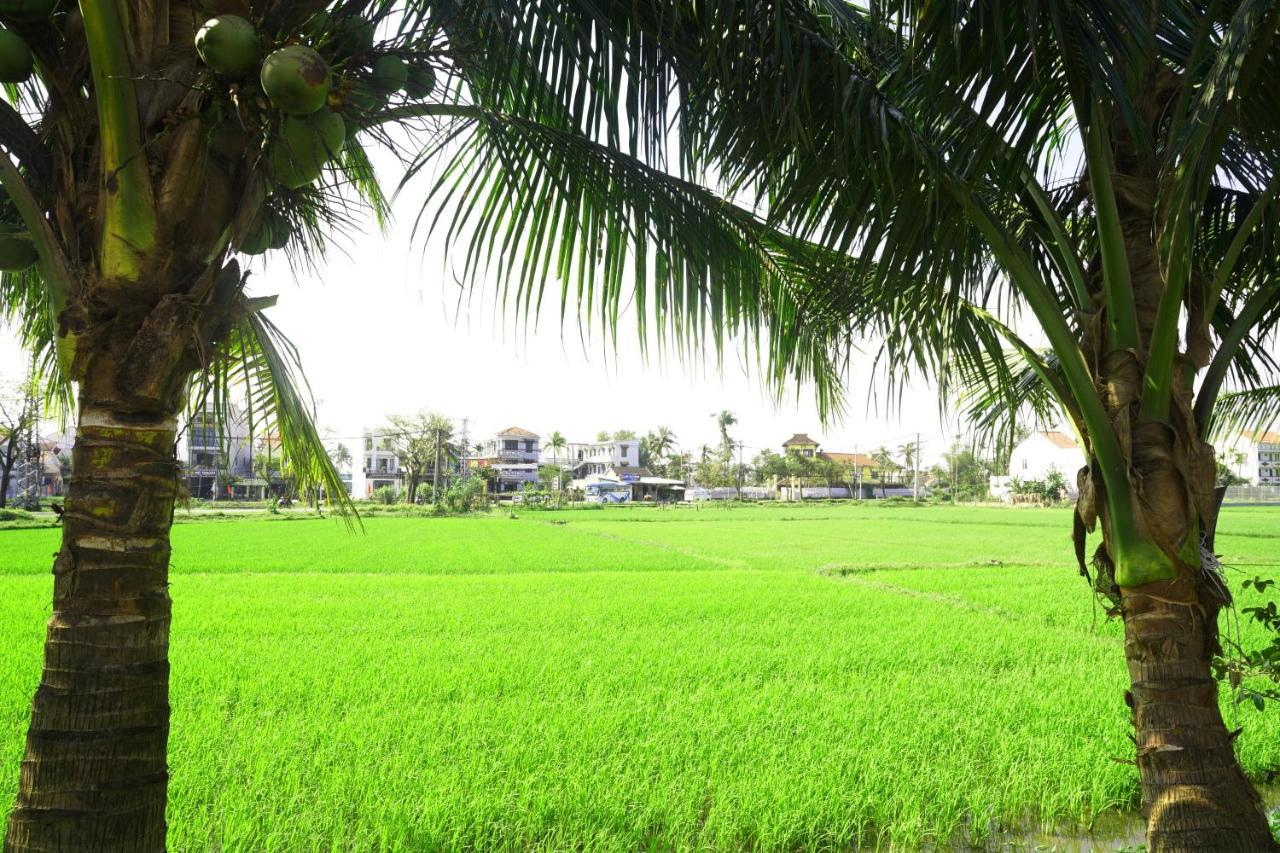 Hoang Y Homestay Hoi An Exteriör bild